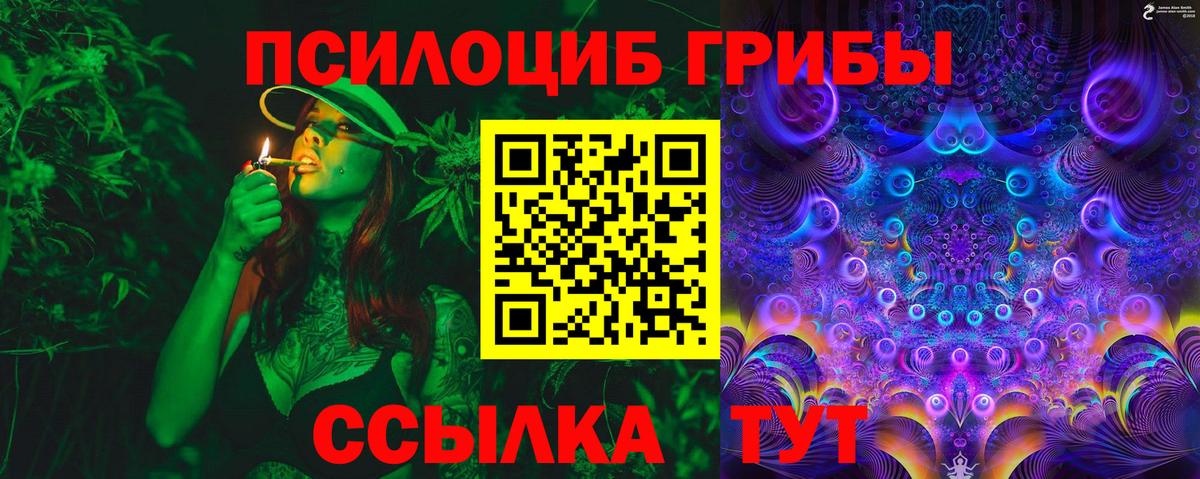 Псилоцибиновые грибы Cubensis  Вход с VPN  Урус-Мартан 